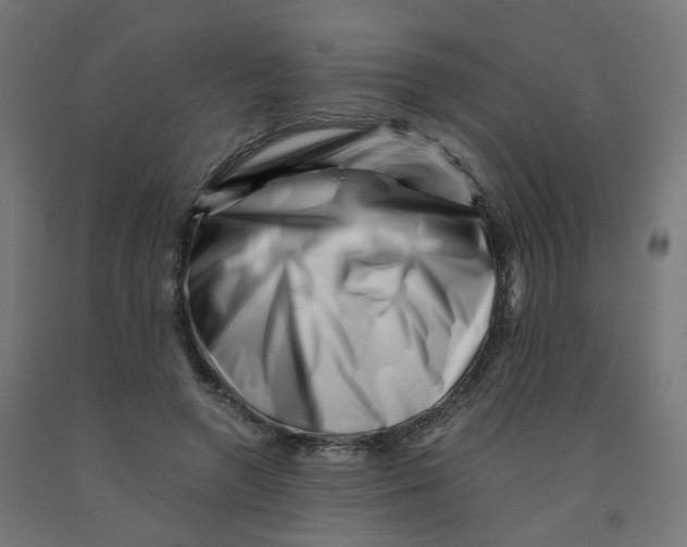 X0000090880546200708241942