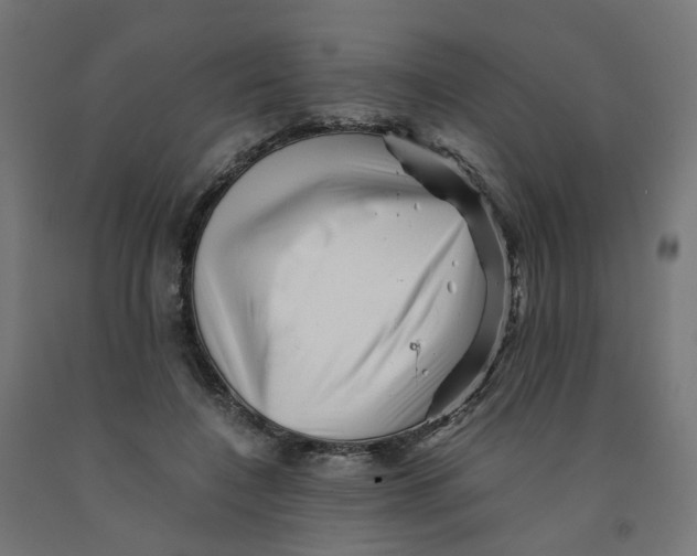 X0000090880548200708241942