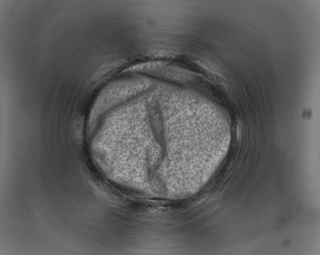 X0000090880550200708241942