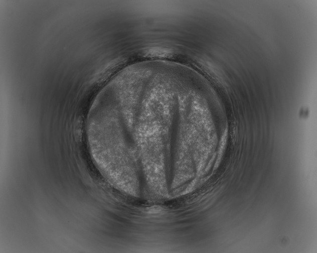 X0000090880551200708241943