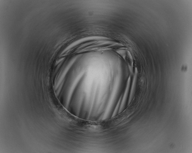 X0000090880552200708241943