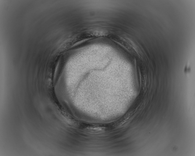 X0000090880553200708241943