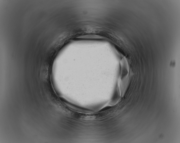 X0000090880554200708241943