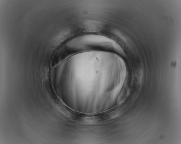 X0000090880556200708241943