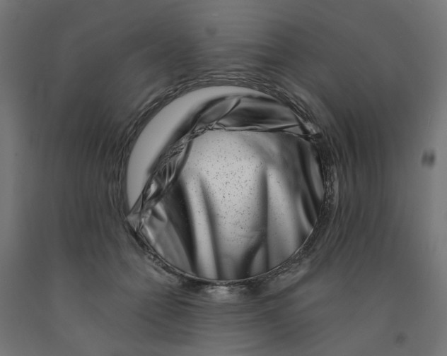 X0000090880558200708241943