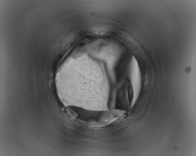 X0000090880559200708241943