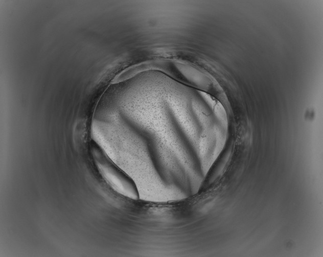 X0000090880560200708241943