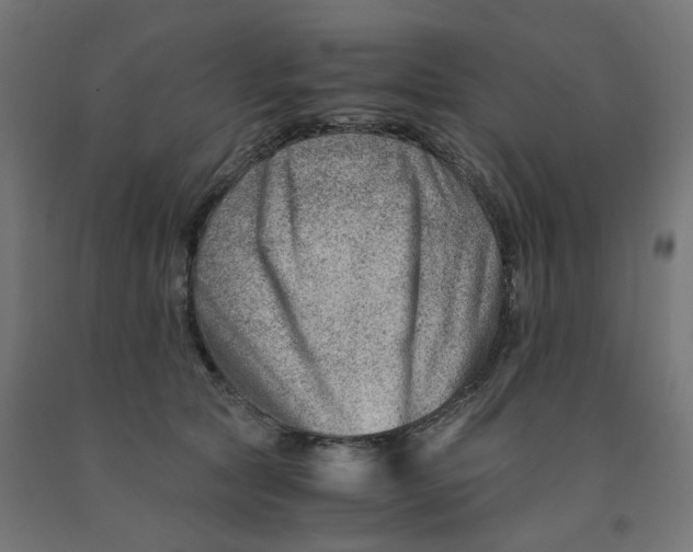 X0000090880561200708241943