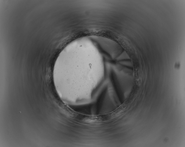 X0000090880563200708241943