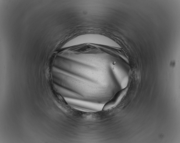 X0000090880564200708241943