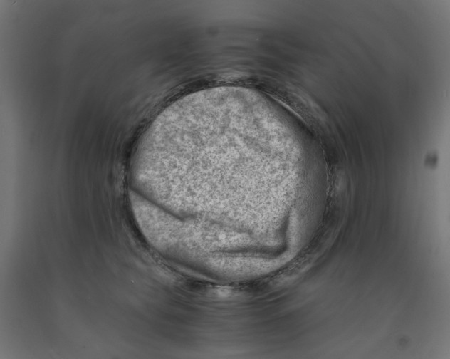 X0000090880565200708241943