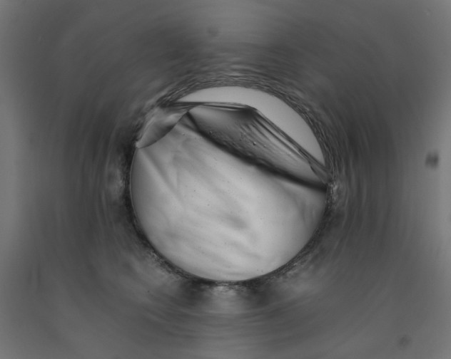 X0000090880566200708241943