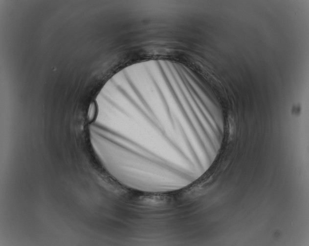 X0000090880567200708241943