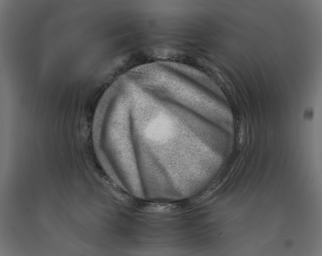 X0000090880569200708241943