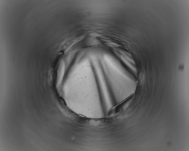 X0000090880570200708241943