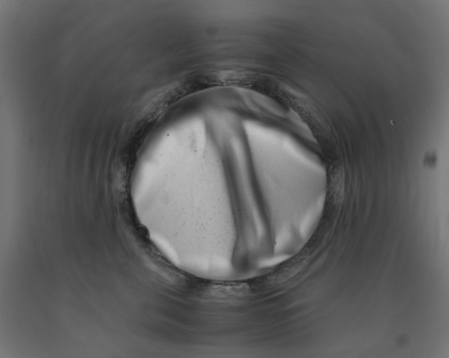 X0000090880571200708241943