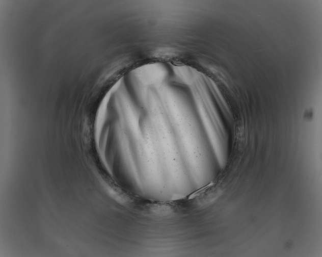 X0000090880572200708241943