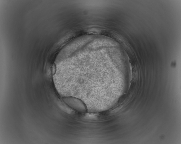 X0000090880573200708241943