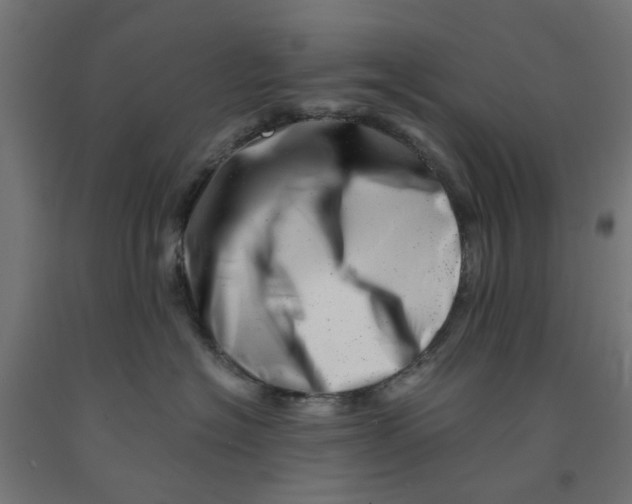 X0000090880574200708241943