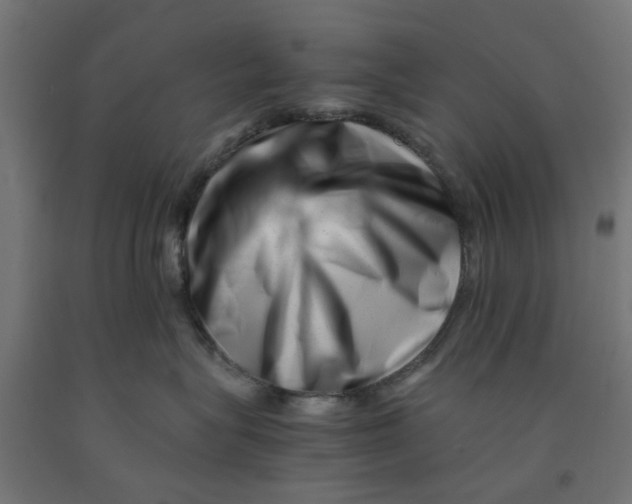 X0000090880575200708241943