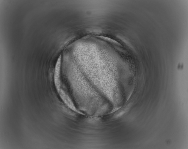 X0000090880576200708241943