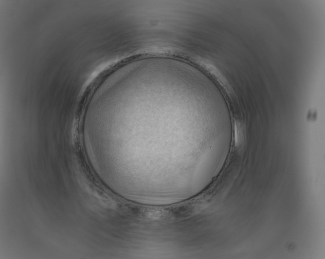 X0000090880579200708241942