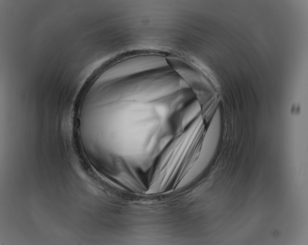 X0000090880580200708241942