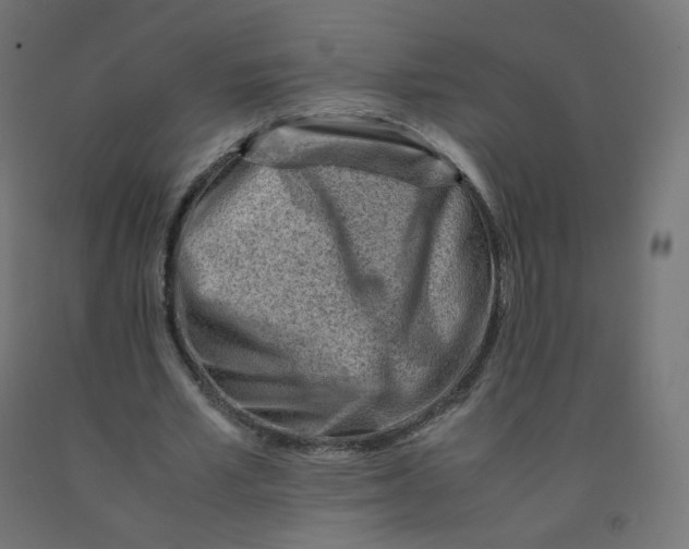 X0000090880581200708241942