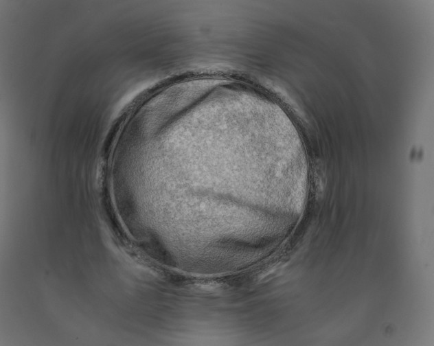 X0000090880583200708241942