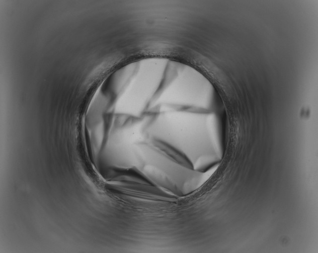 X0000090880586200708241942