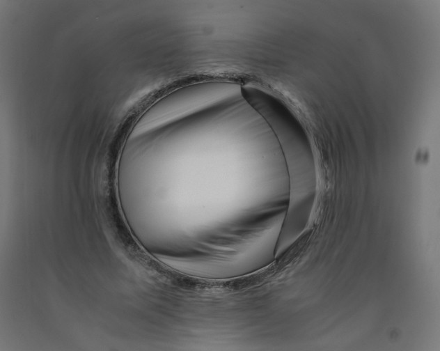 X0000090880587200708241942