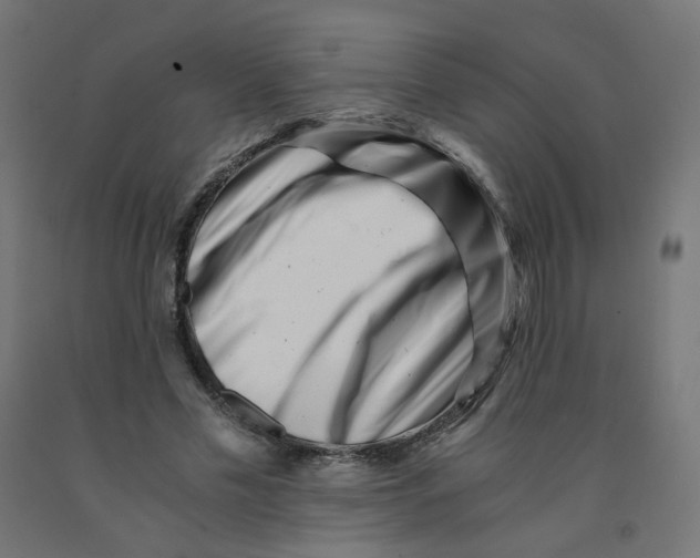 X0000090880589200708241942