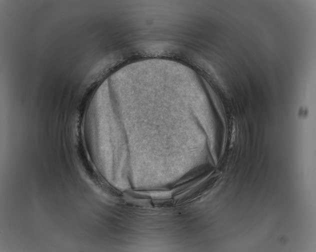 X0000090880590200708241942