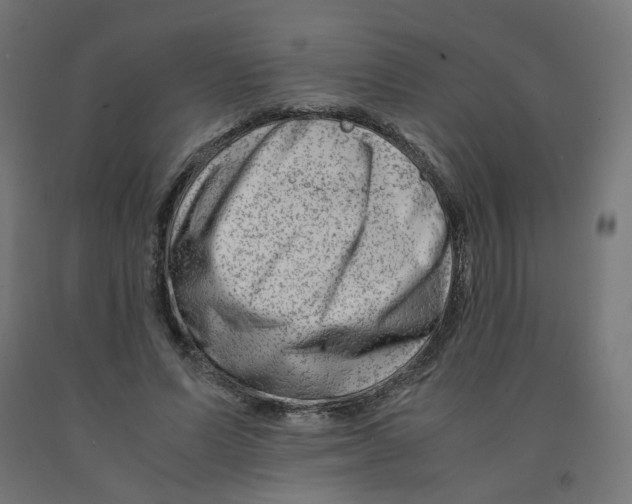 X0000090880591200708241942