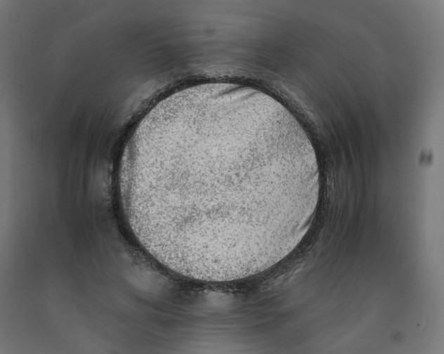 X0000090880592200708241942