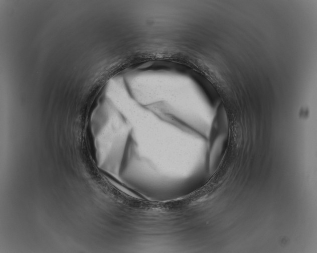 X0000090880594200708241942