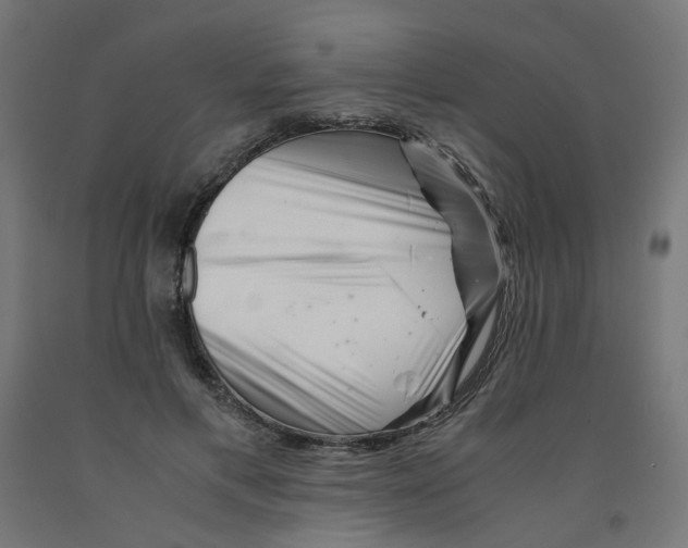 X0000090880597200708241942