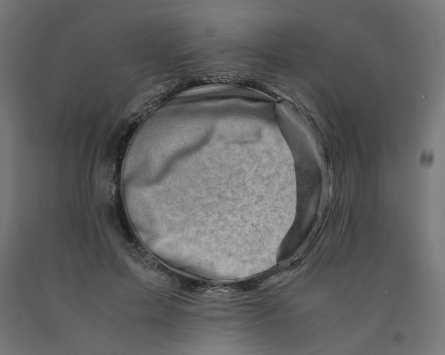 X0000090880599200708241942