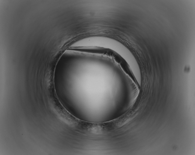 X0000090880600200708241942