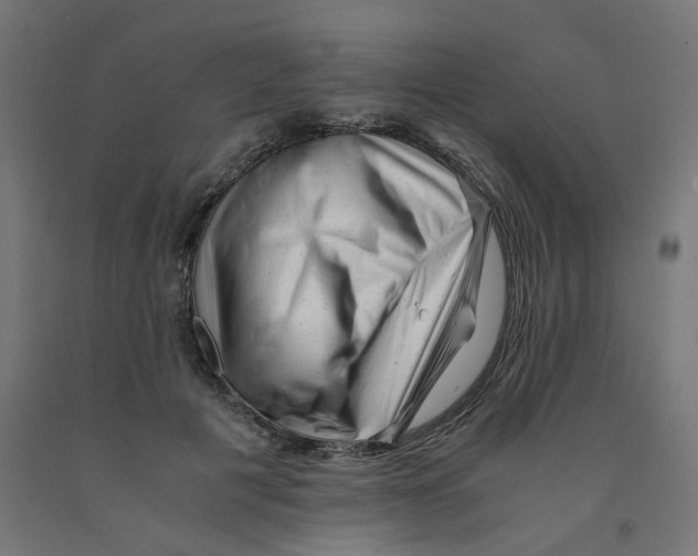 X0000090880601200708241942