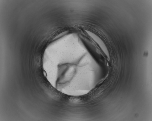 X0000090880602200708241942