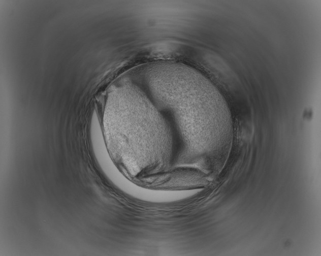 X0000090880603200708241942