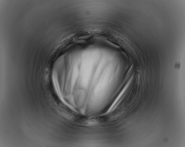 X0000090880604200708241942