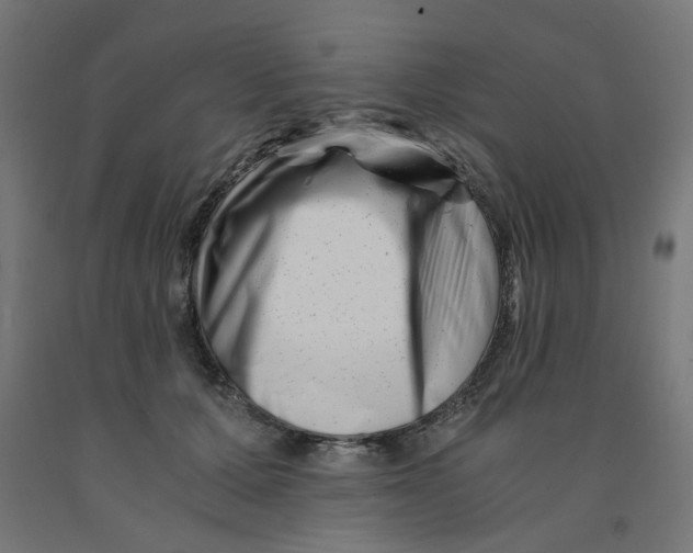 X0000090880607200708241942