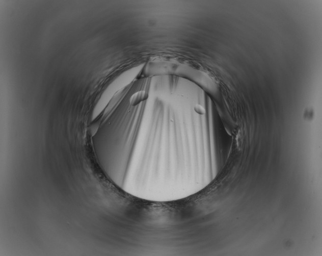 X0000090880608200708241942