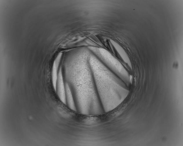 X0000090880609200708241942