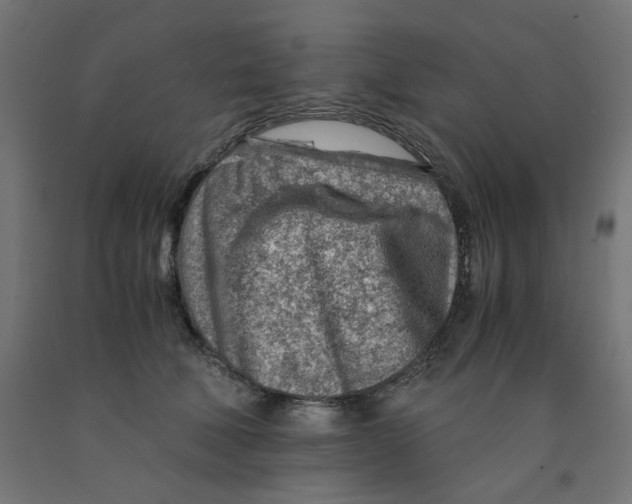 X0000090880610200708241942