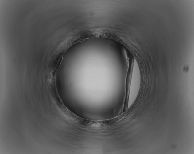 X0000090880611200708241942