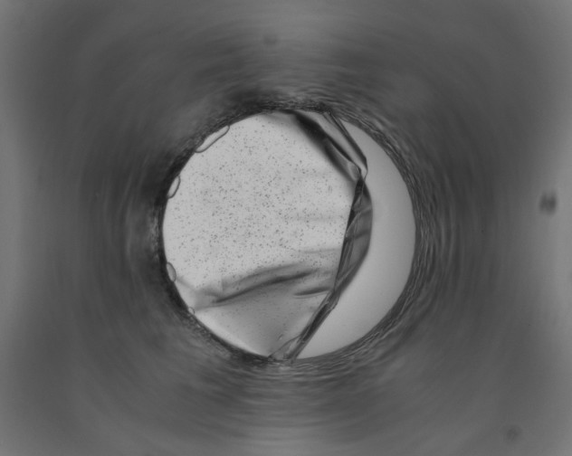 X0000090880613200708241942