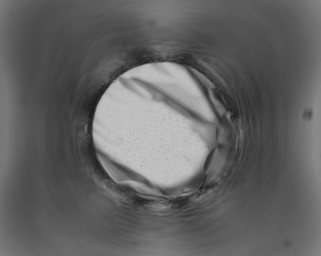 X0000090880615200708241942